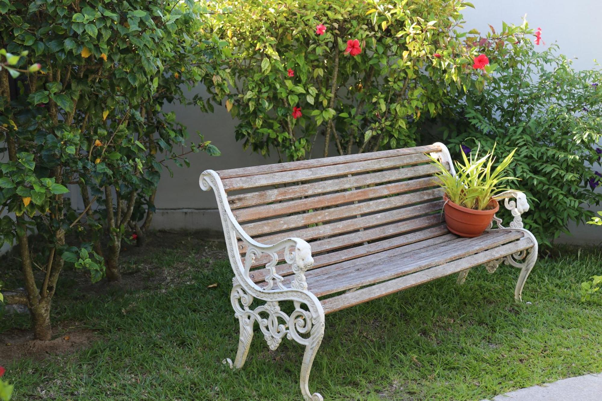 Hotel La Roussette Anse aux Pins Εξωτερικό φωτογραφία