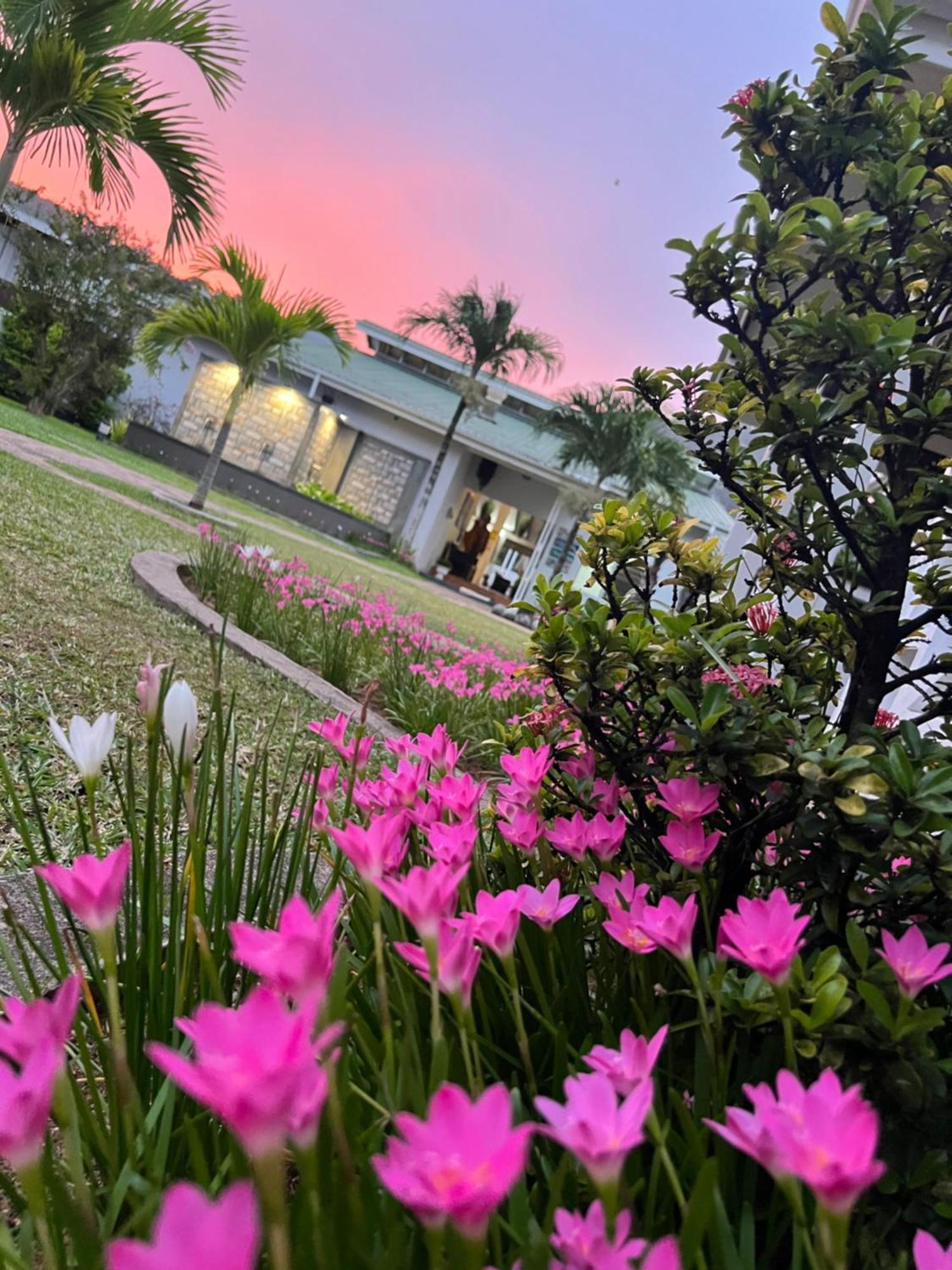 Hotel La Roussette Anse aux Pins Εξωτερικό φωτογραφία
